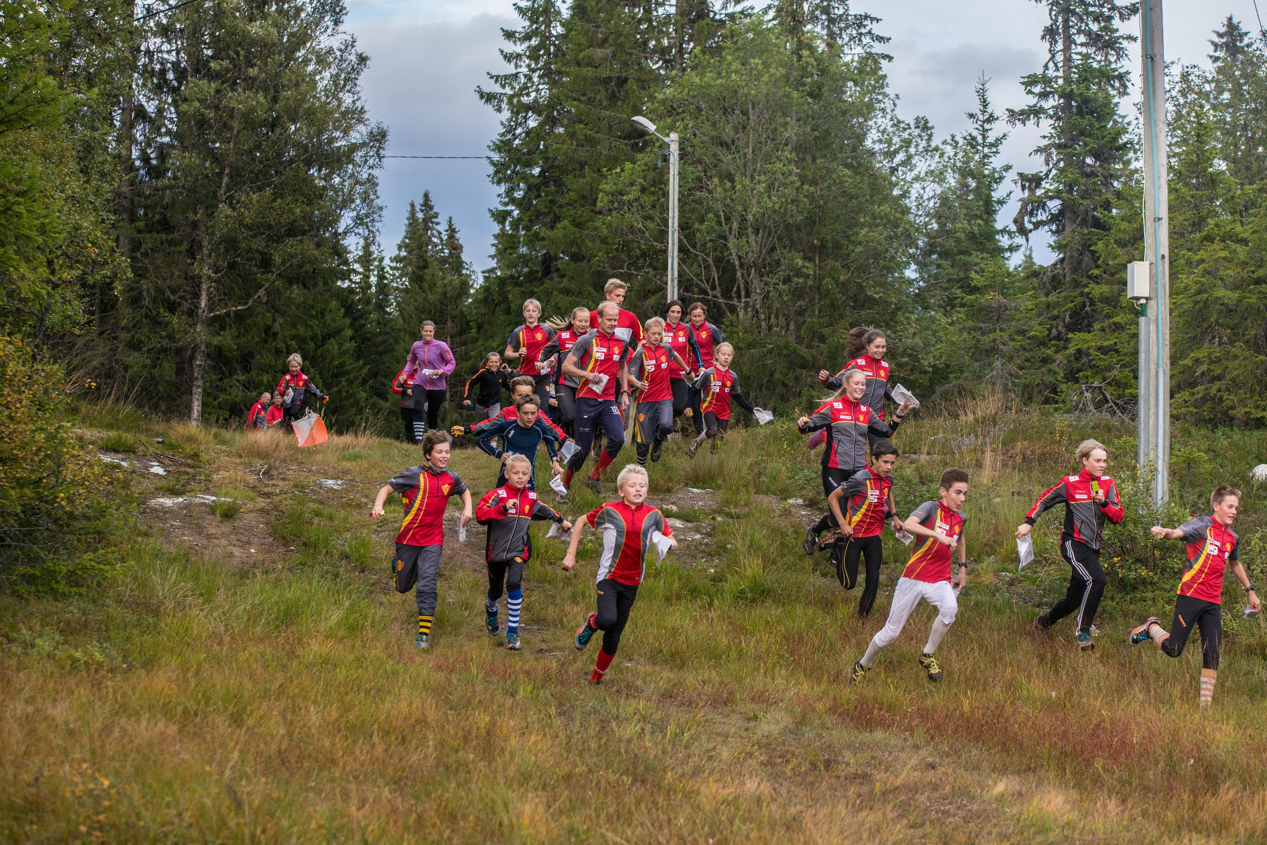 barn og ungdom som løper orientering i skogen